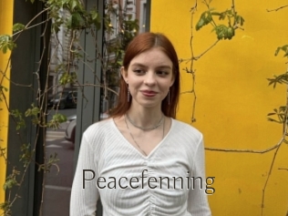 Peacefenning