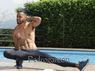 Pedrogarzon