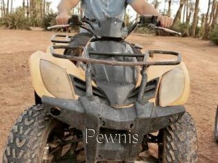 Pewnis