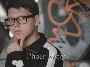 Phoenixzorg