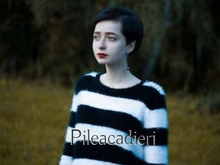 Pileacadieri