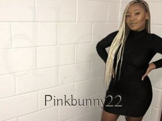 Pinkbunny22