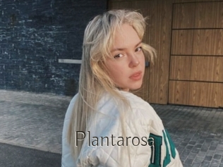 Plantarosa