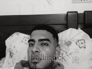 Pollbigdick