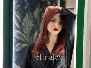 Pollinafox