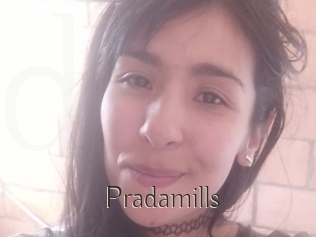 Pradamills
