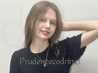 Prudencecodringt