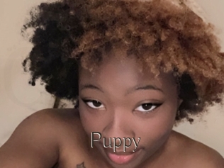 Puppy