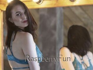 RaspberryFun