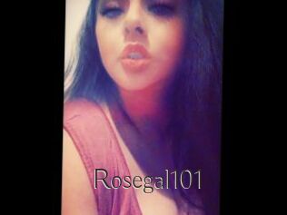 Rosegal101