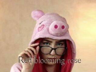 Red_blooming_rose