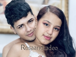 Rosaandtadeo