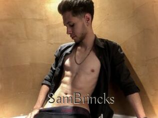 SamBrincks