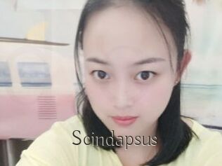 Scindapsus