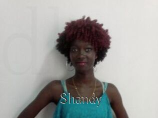 Shandy
