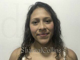 ShantalCollins