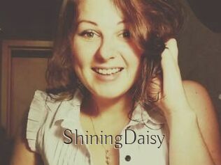 ShiningDaisy