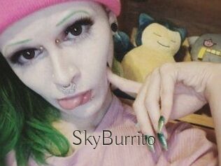 SkyBurrito