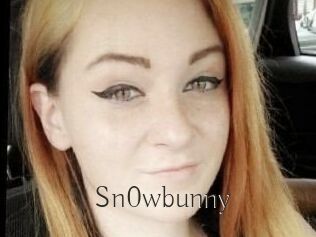 Sn0wbunny