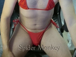 Spider_Monkey