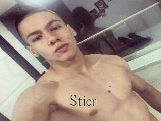 Stier