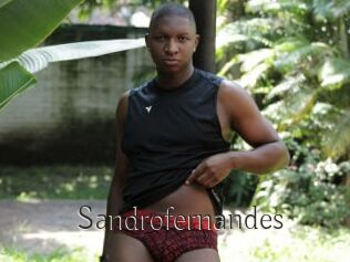 Sandrofernandes