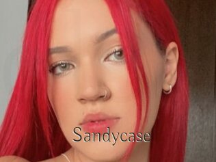 Sandycase
