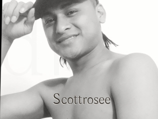 Scottrosee