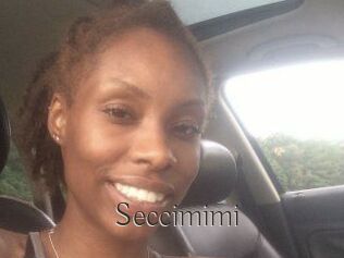 Seccimimi