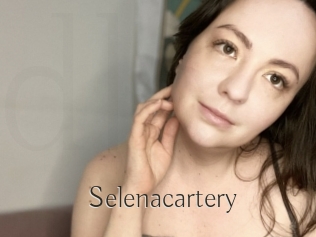 Selenacartery