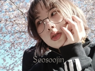 Seosoojin