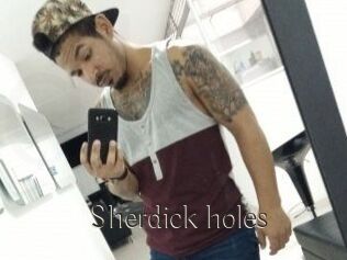 Sherdick_holes