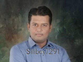 Siliboy7291