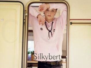 Silkybert