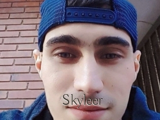 Skyleer
