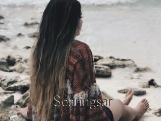 Soaringsar