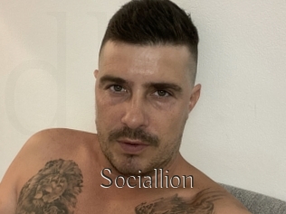 Sociallion