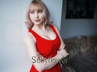 Sollyflower