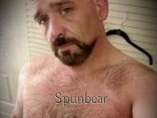 Spunbear