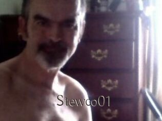 Stewco01