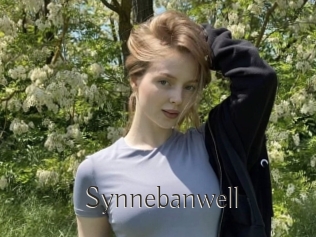 Synnebanwell