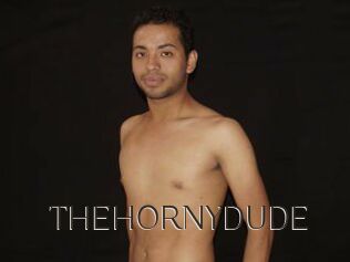 THEHORNYDUDE