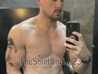 TheSolidSnake23