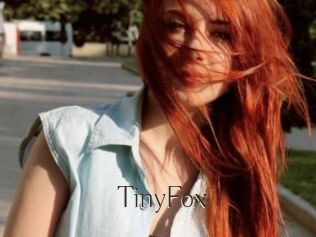 TinyFox