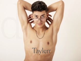 taylerr Dans le cul