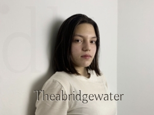 Theabridgewater