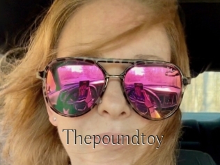 Thepoundtoy