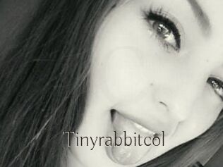 Tinyrabbitcol