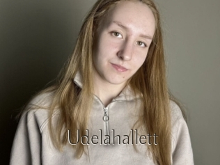 Udelahallett
