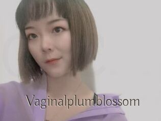 Vaginalplumblossom